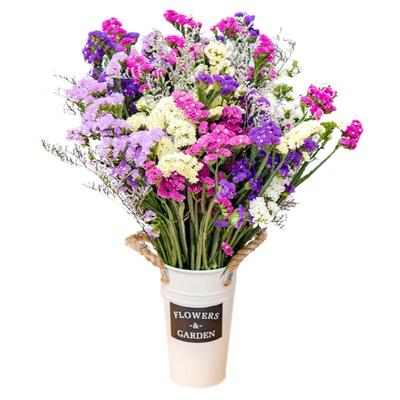 云南勿忘我满天星干花花束鲜花真花批发插花装饰客厅摆件花卉礼物